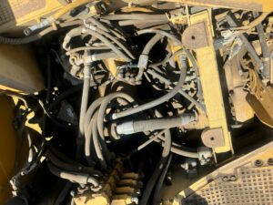 WhatsApp Image 2026-02-13 at 18.12.12 (1)